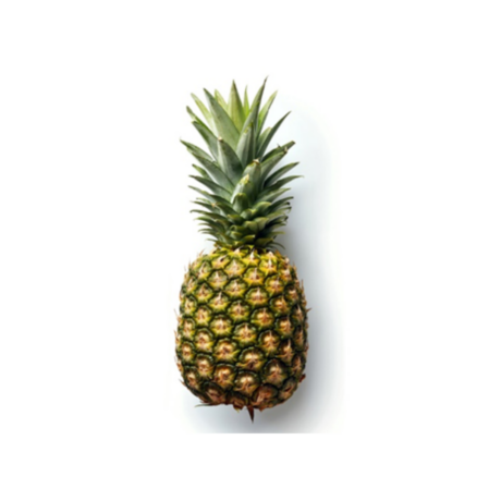SHORI AGUA DULCE (4)