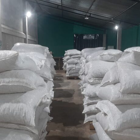 SHORI2