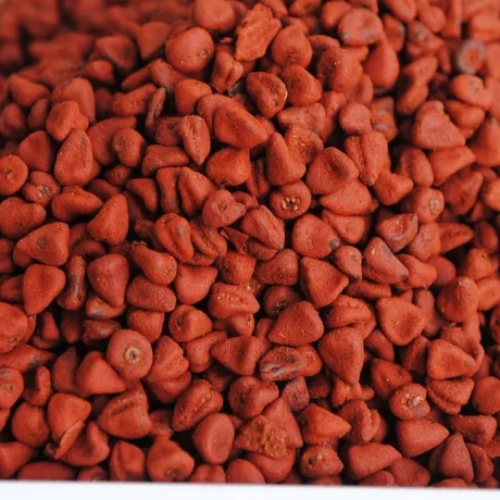 achiote-6873682_1280-1-1200x675